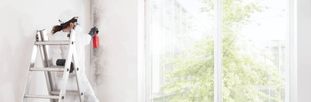 Best Emergency Mold Remediation  in Hastings, PA